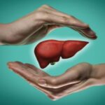 Limpieza hepática: toda la información que necesitas sobre cómo limpiar tu hígado